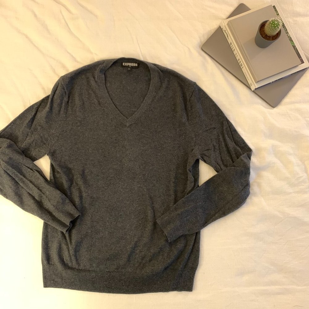 M Men's grey Express v-neck shirt